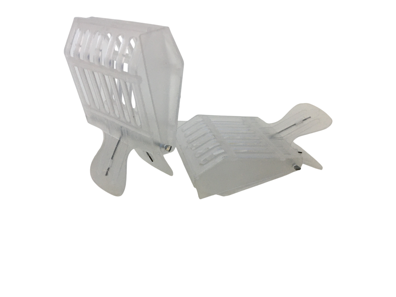 Pinza in plastica semitrasparente per cattura regina api