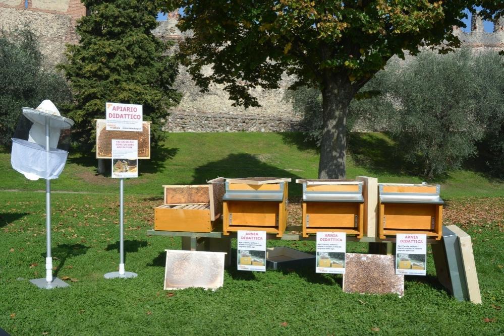 apicoltura.com kit fotografico telaini per arnia didattica 22 schede - foto 2