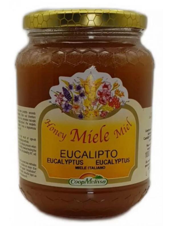 coop melissa miele italiano di eucalipto gr. 1000 - foto 1