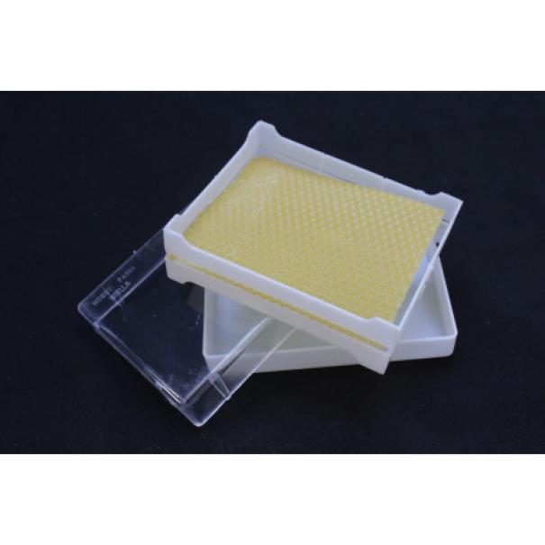 apicoltura.com favetto grande in plastica per miele in favo - foto 3