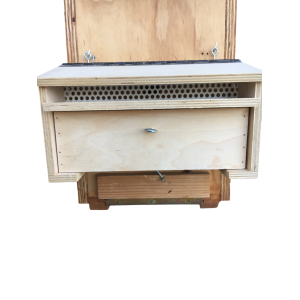 Trappola raccolta polline in legno per portasciami