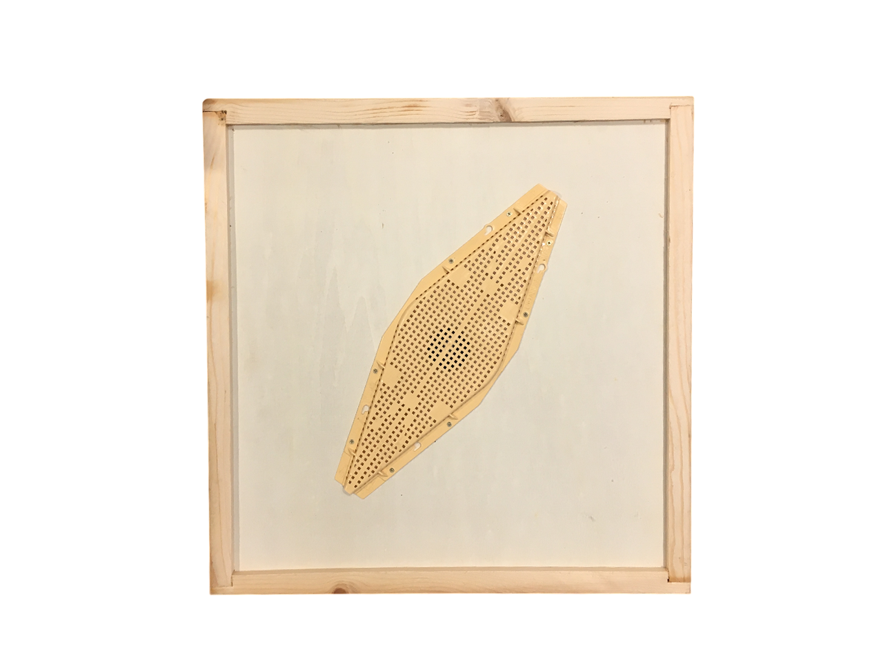 Apiscampo a losanga montato su tavoletta legno 43x50 cm con due uscite