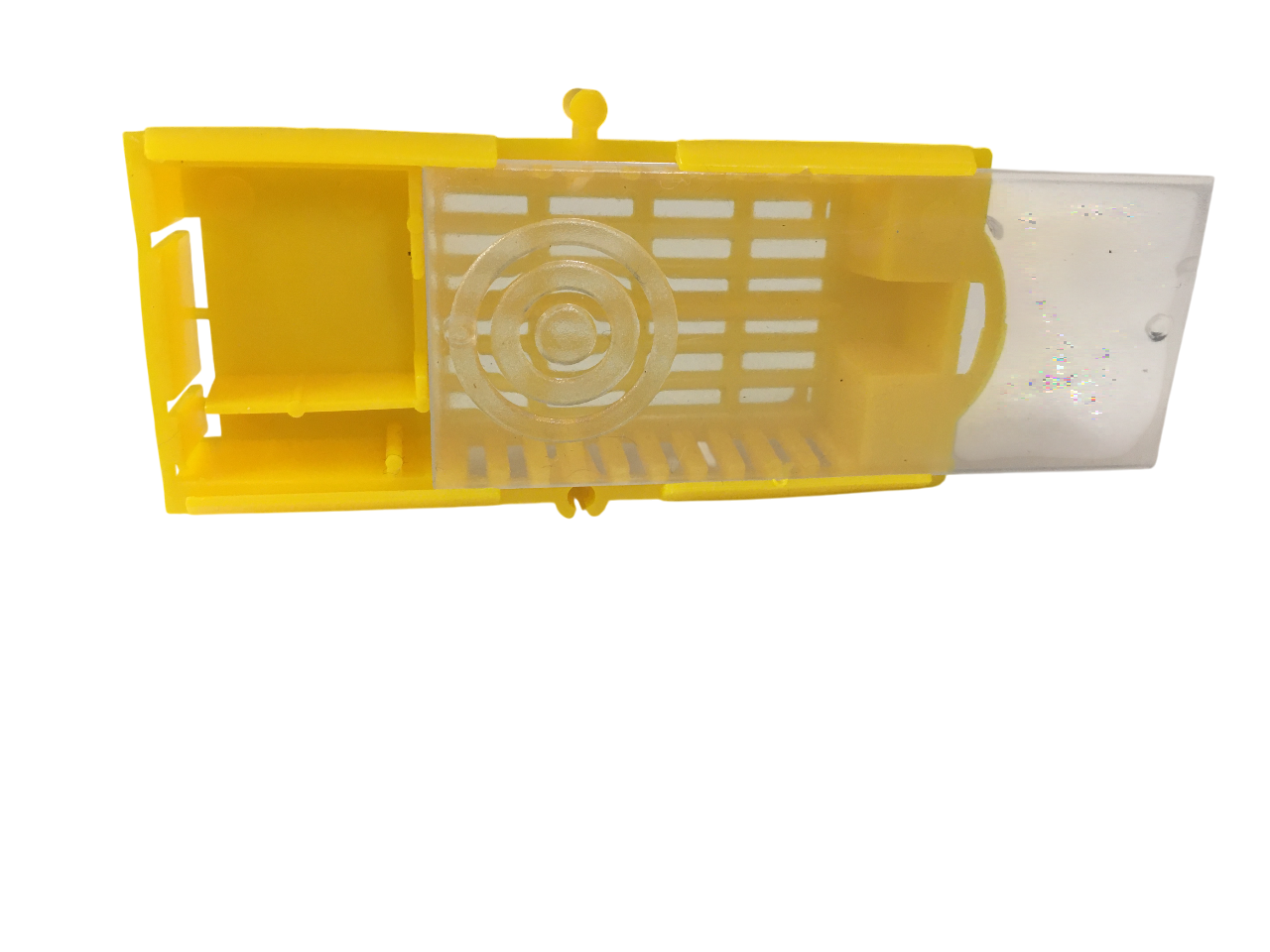 Gabbietta chiusa doppia uscita plastica per introduzione regina