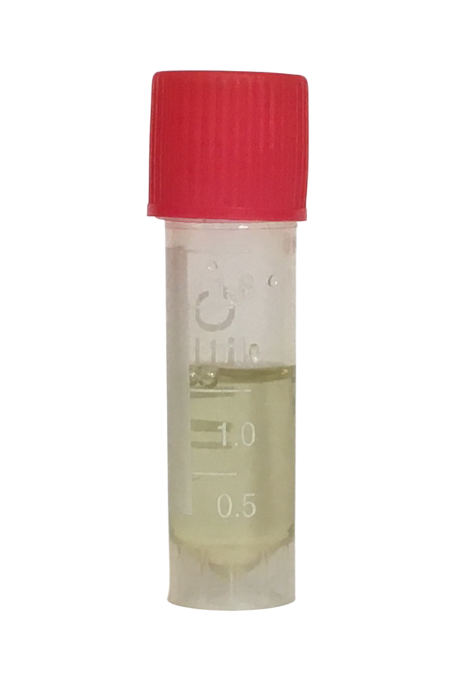 Fiala olio diottrico per taratura con tappo rosso da 1 ml