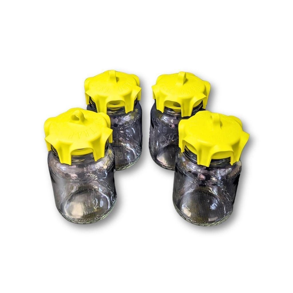 Set di quattro trappole cromotropiche con vasi in vetro e coperchi gialli