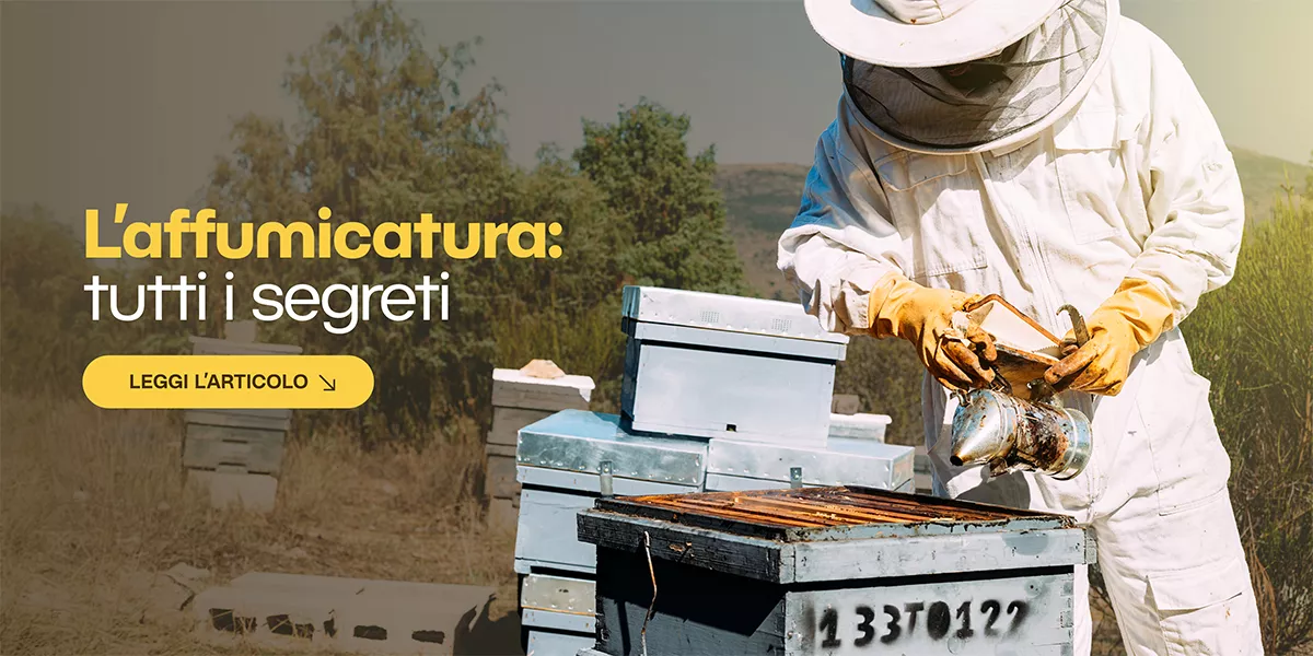 Affumicatura in apicoltura: guida all’uso e scelta dell’affumicatore 🔥