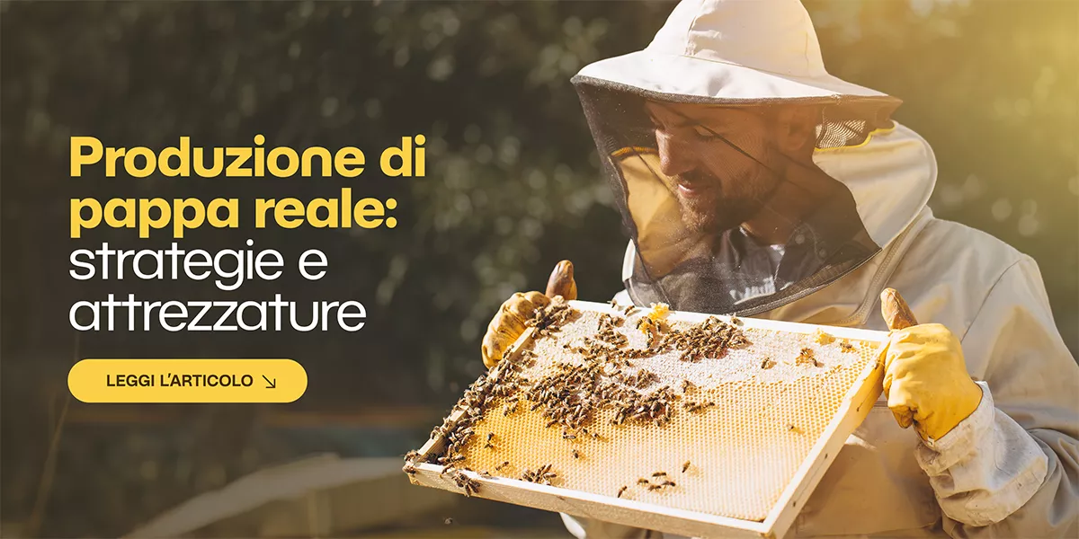 Come produrre pappa reale: guida pratica per apicoltori professionisti