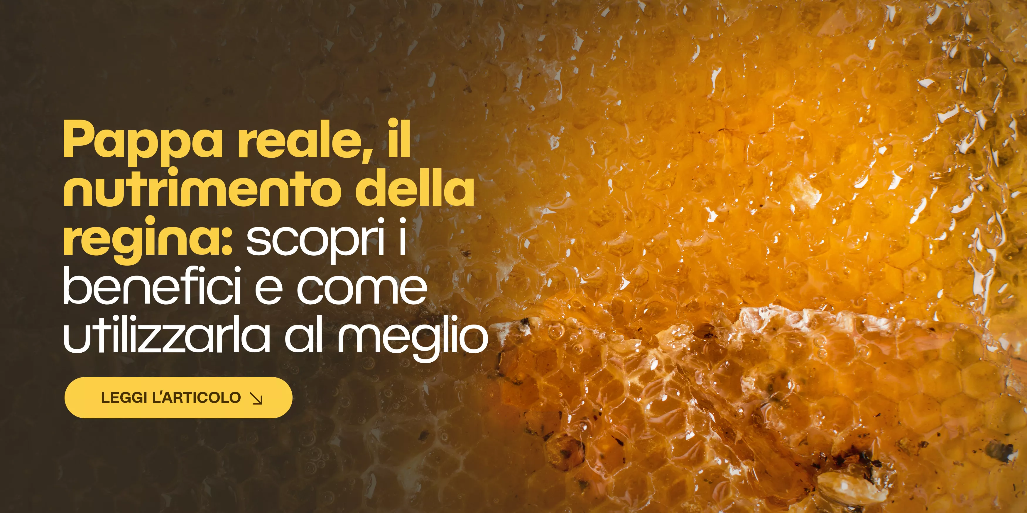 Polline d’api, il superfood dell’alveare: perché raccoglierlo e come farlo bene