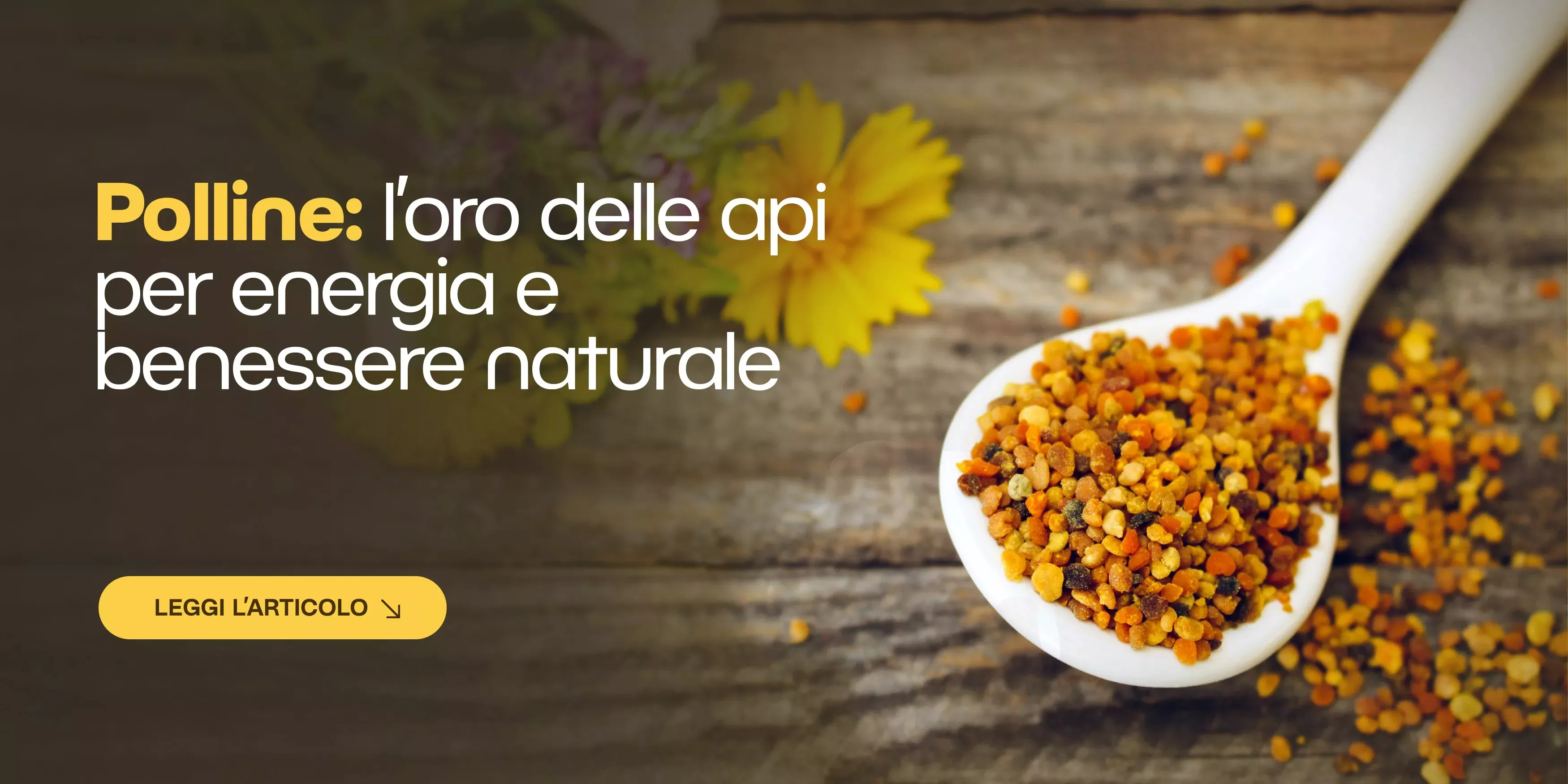 Polline d’api, il superfood dell’alveare: perché raccoglierlo e come farlo bene