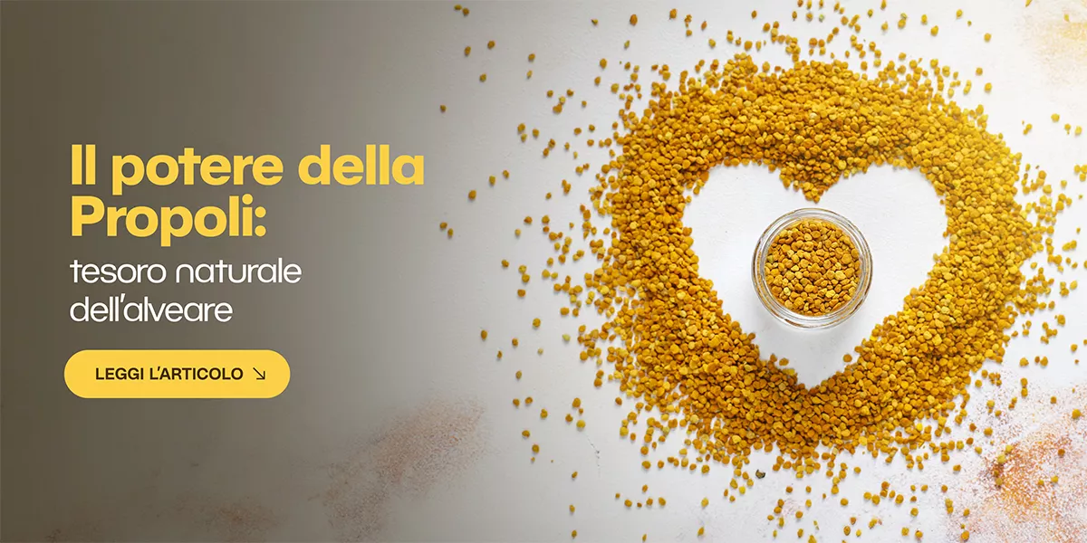 Propoli: il balsamo naturale delle api per corpo e mente