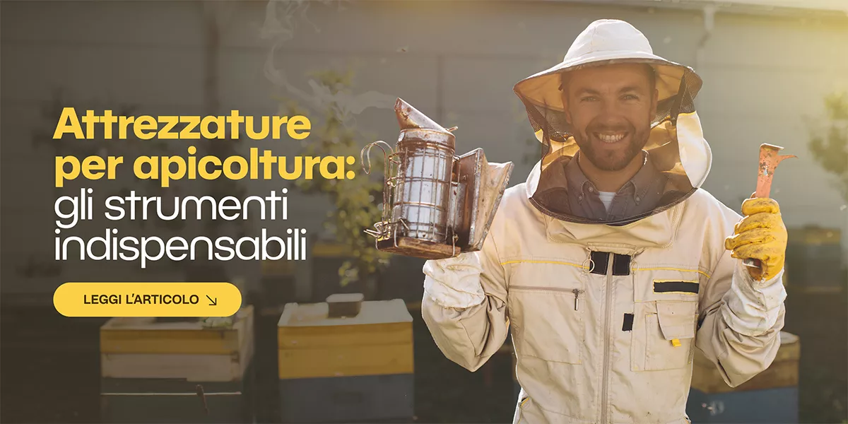 Gli strumenti indispensabili per un apiario efficiente: il cuore operativo dell’apicoltura moderna 🐝