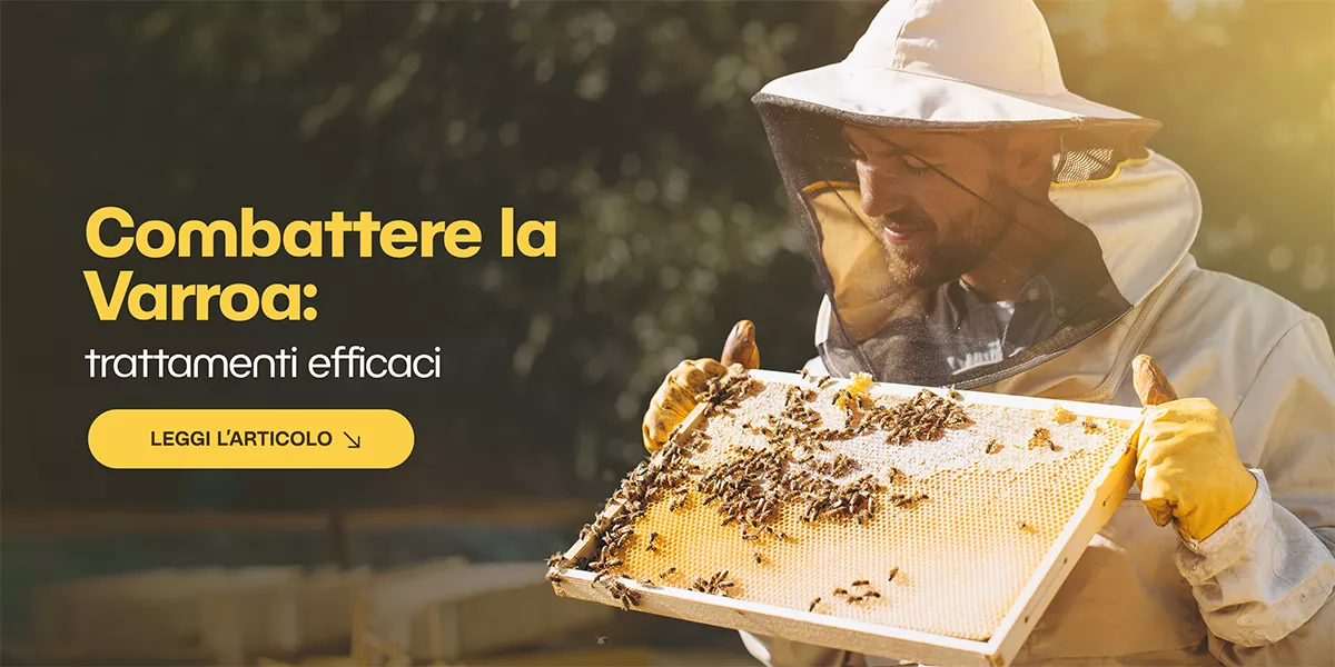 Varroa, il nemico invisibile: come difendere le tue api con trattamenti mirati