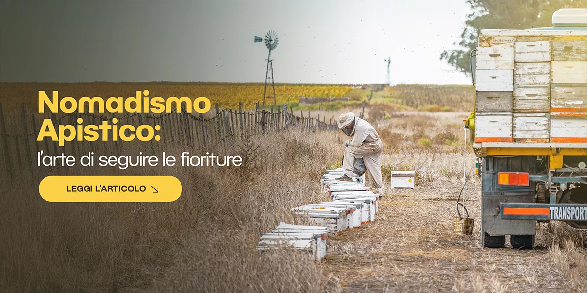 Nomadismo apistico: efficienza e libertà nel lavoro dell’apicoltore moderno
