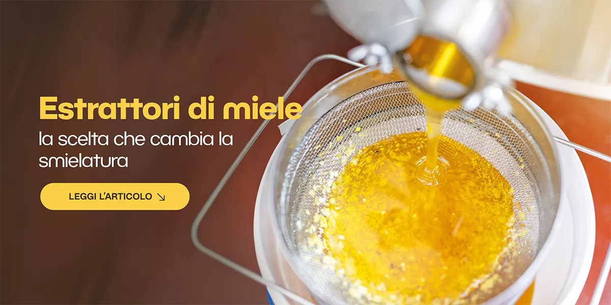 Guida all’estrattore di miele: manuale o elettrico? 🐝