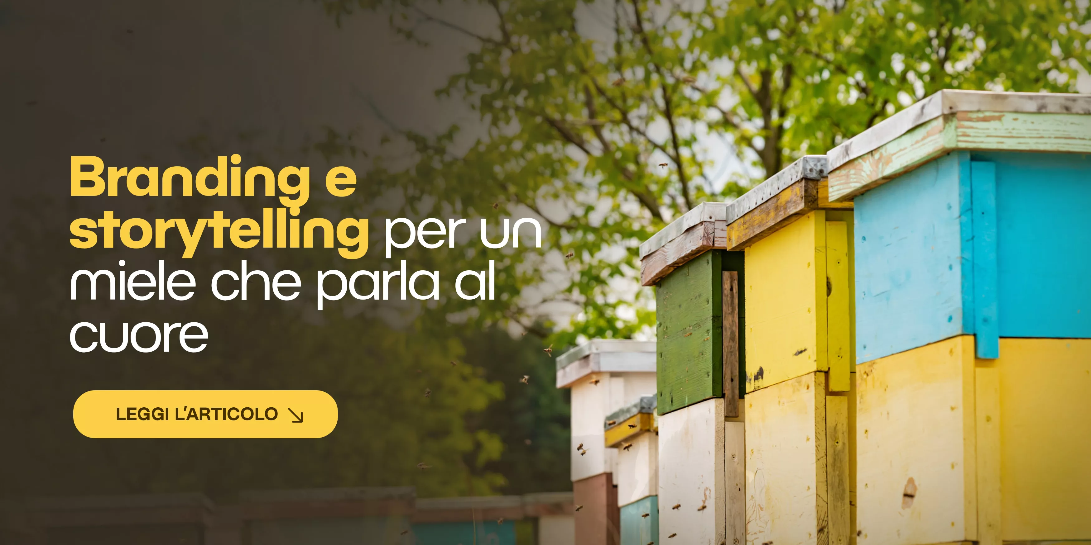 Strategie di marketing per miele: branding e storytelling efficace
