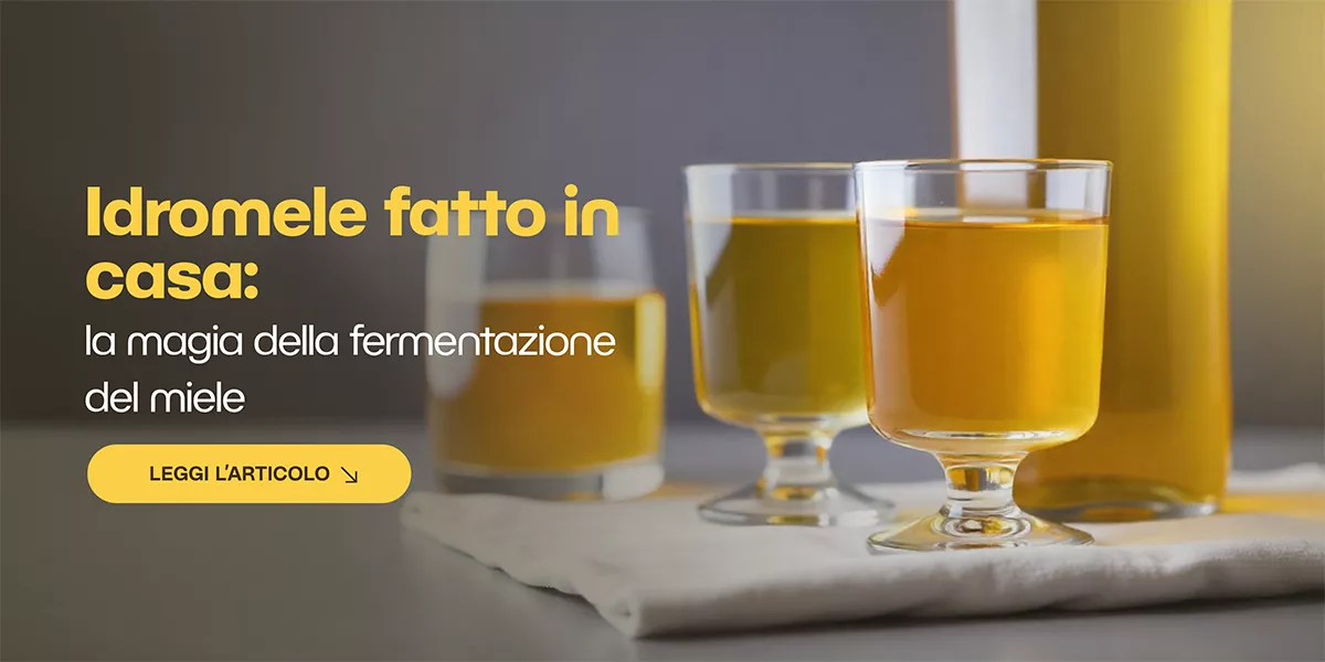 Come produrre idromele in casa: guida alla fermentazione del miele 🍯