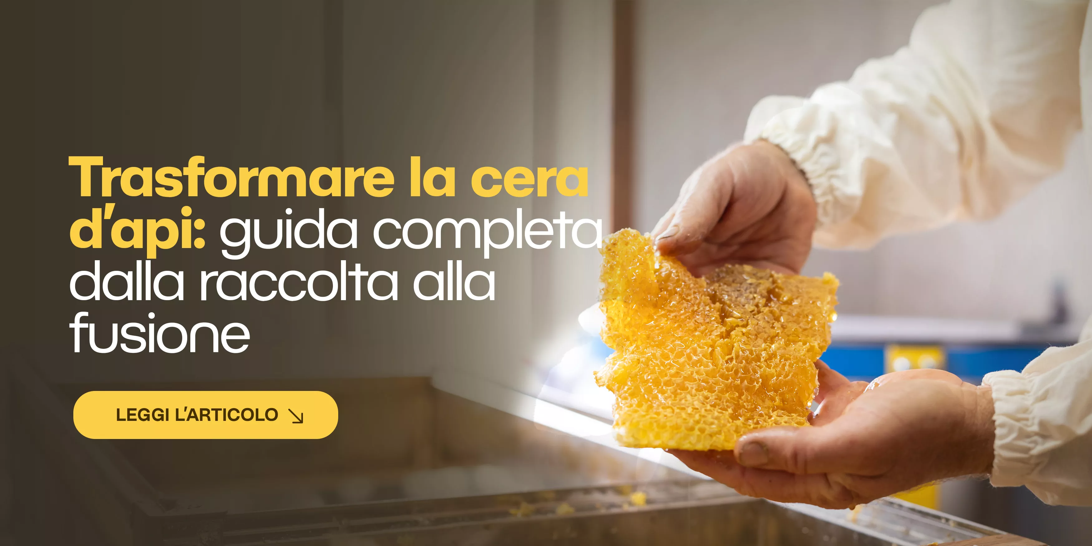 Come ottimizzare la lavorazione della cera: dal laboratorio all’arnia, efficienza e qualità a ogni fusione