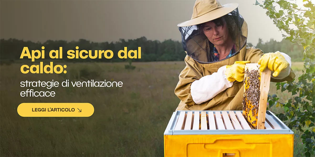 Ventilazione dell’arnia: strategie anti-stress termico e gestione professionale