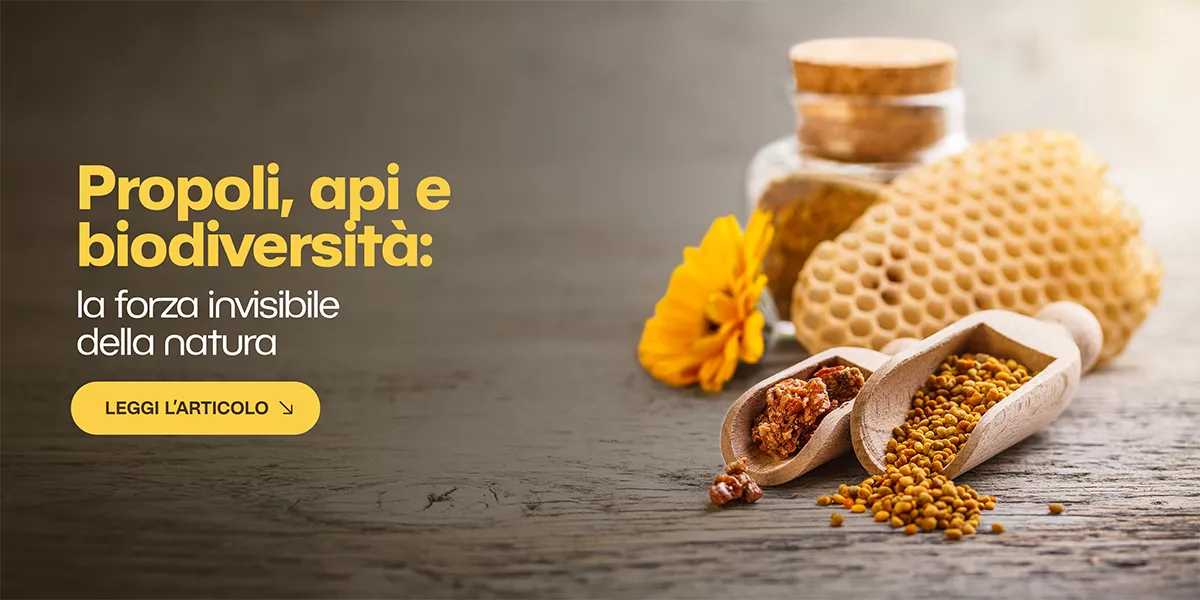 La forza della natura nella propoli: un viaggio tra resine, alberi e api