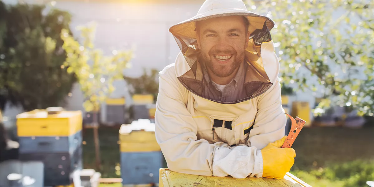 Sicurezza in apicoltura: guanti, maschere e tute per proteggersi con responsabilità